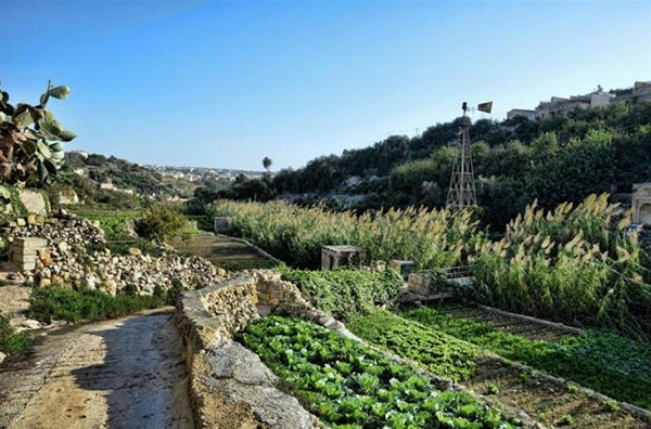 Gozo country side